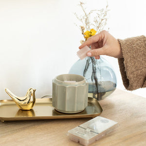 Wax Warmer - Grey Banded